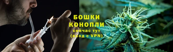 каннабис Белокуриха