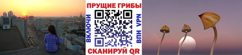 Псилоцибиновые грибы Magic Shrooms  Волжск 